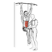 ภาพเคลื่อนไหวสาธิตท่า Assisted Hanging Knee Raise With Throw Down เน้นกล้ามเนื้อหน้าท้อง