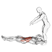 ภาพเคลื่อนไหวสาธิตท่า Assisted Lying Leg Raise With Throw Down เน้นกล้ามเนื้อหน้าท้อง