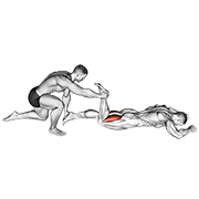 ภาพเคลื่อนไหวสาธิตท่า Assisted Prone Hamstring เน้นกล้ามเนื้อต้นขาด้านหลัง (แฮมสตริง)