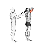 ภาพเคลื่อนไหวสาธิตท่า Assisted Standing Triceps Extension (with Towel) เน้นกล้ามเนื้อกล้ามเนื้อหลังแขน (ไทรเซปส์)