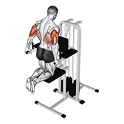 ภาพเคลื่อนไหวสาธิตท่า Assisted Triceps Dip (kneeling) เน้นกล้ามเนื้อกล้ามเนื้อหลังแขน (ไทรเซปส์)