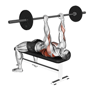 ภาพเคลื่อนไหวสาธิตท่า Barbell Pullover To Press เน้นกล้ามเนื้อปีกหลัง (แลตส์)
