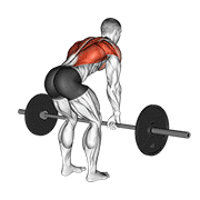 ภาพเคลื่อนไหวสาธิตท่า Barbell Bent Over Row เน้นกล้ามเนื้อหลังส่วนบน