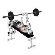 ภาพเคลื่อนไหวสาธิตท่า Barbell Decline Bent Arm Pullover เน้นกล้ามเนื้อปีกหลัง (แลตส์)