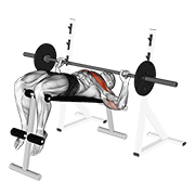 ภาพเคลื่อนไหวสาธิตท่า Barbell Decline Wide-grip Press เน้นกล้ามเนื้อกล้ามเนื้อหน้าอก