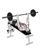ภาพเคลื่อนไหวสาธิตท่า Barbell Decline Wide-grip Pullover เน้นกล้ามเนื้อปีกหลัง (แลตส์)