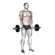 ภาพเคลื่อนไหวสาธิตท่า Barbell Drag Curl เน้นกล้ามเนื้อกล้ามเนื้อหน้าแขน (ไบเซปส์)