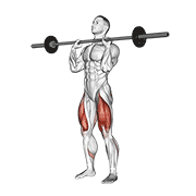 ภาพเคลื่อนไหวสาธิตท่า Barbell Front Chest Squat เน้นกล้ามเนื้อกล้ามเนื้อก้น