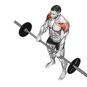 ภาพเคลื่อนไหวสาธิตท่า Barbell Front Raise เน้นกล้ามเนื้อไหล่ (เดลทอยด์)