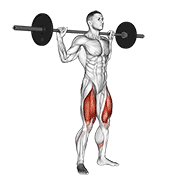 ภาพเคลื่อนไหวสาธิตท่า Barbell Full Squat เน้นกล้ามเนื้อกล้ามเนื้อก้น