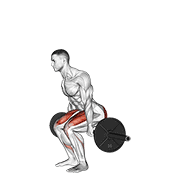 ภาพเคลื่อนไหวสาธิตท่า Barbell Hack Squat เน้นกล้ามเนื้อกล้ามเนื้อก้น
