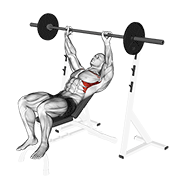ภาพเคลื่อนไหวสาธิตท่า Barbell Incline Shoulder Raise เน้นกล้ามเนื้อกล้ามเนื้อข้างชายโครง