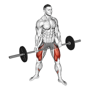 ภาพเคลื่อนไหวสาธิตท่า Barbell Jefferson Squat เน้นกล้ามเนื้อกล้ามเนื้อก้น
