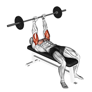 ภาพเคลื่อนไหวสาธิตท่า Barbell Jm Bench Press เน้นกล้ามเนื้อกล้ามเนื้อหลังแขน (ไทรเซปส์)