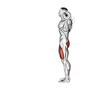 ภาพเคลื่อนไหวสาธิตท่า Barbell Lunge เน้นกล้ามเนื้อกล้ามเนื้อก้น