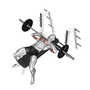 ภาพเคลื่อนไหวสาธิตท่า Barbell Lying Close-grip Press เน้นกล้ามเนื้อกล้ามเนื้อหลังแขน (ไทรเซปส์)