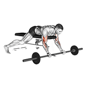 ภาพเคลื่อนไหวสาธิตท่า Barbell Lying Preacher Curl เน้นกล้ามเนื้อกล้ามเนื้อหน้าแขน (ไบเซปส์)