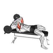 ภาพเคลื่อนไหวสาธิตท่า Barbell Lying Triceps Extension Skull Crusher เน้นกล้ามเนื้อกล้ามเนื้อหลังแขน (ไทรเซปส์)
