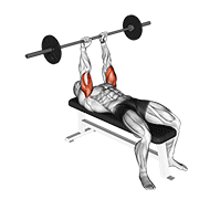 ภาพเคลื่อนไหวสาธิตท่า Barbell Lying Triceps Extension เน้นกล้ามเนื้อกล้ามเนื้อหลังแขน (ไทรเซปส์)