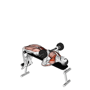 ภาพเคลื่อนไหวสาธิตท่า Barbell Press Sit-up เน้นกล้ามเนื้อหน้าท้อง