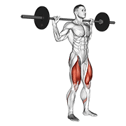 ภาพเคลื่อนไหวสาธิตท่า Barbell Rear Lunge เน้นกล้ามเนื้อกล้ามเนื้อก้น