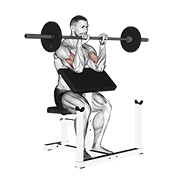 ภาพเคลื่อนไหวสาธิตท่า Barbell Reverse Preacher Curl เน้นกล้ามเนื้อกล้ามเนื้อหน้าแขน (ไบเซปส์)