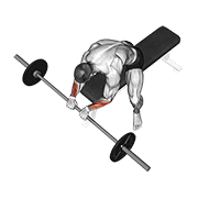 ภาพเคลื่อนไหวสาธิตท่า Barbell Reverse Wrist Curl เน้นกล้ามเนื้อแขนท่อนล่าง