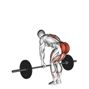 ภาพเคลื่อนไหวสาธิตท่า Barbell Romanian Deadlift เน้นกล้ามเนื้อกล้ามเนื้อก้น