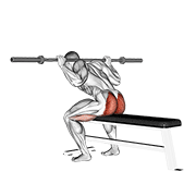 ภาพเคลื่อนไหวสาธิตท่า Barbell Seated Good Morning เน้นกล้ามเนื้อกล้ามเนื้อก้น