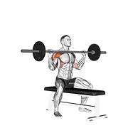 ภาพเคลื่อนไหวสาธิตท่า Barbell Seated Overhead Press เน้นกล้ามเนื้อไหล่ (เดลทอยด์)
