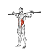 ภาพเคลื่อนไหวสาธิตท่า Barbell Side Bent V. 2 เน้นกล้ามเนื้อหน้าท้อง