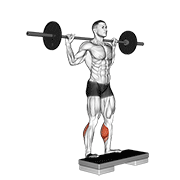 ภาพเคลื่อนไหวสาธิตท่า Barbell Standing Leg Calf Raise เน้นกล้ามเนื้อน่อง