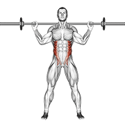 ภาพเคลื่อนไหวสาธิตท่า Barbell Standing Twist เน้นกล้ามเนื้อหน้าท้อง