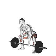 ภาพเคลื่อนไหวสาธิตท่า Barbell Sumo Deadlift เน้นกล้ามเนื้อกล้ามเนื้อก้น