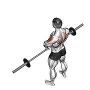 ภาพเคลื่อนไหวสาธิตท่า Barbell Upright Row V. 2 เน้นกล้ามเนื้อไหล่ (เดลทอยด์)