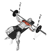 ภาพเคลื่อนไหวสาธิตท่า Barbell Wide Bench Press เน้นกล้ามเนื้อกล้ามเนื้อหน้าอก