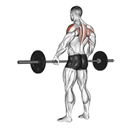 ภาพเคลื่อนไหวสาธิตท่า Barbell Wide-grip Upright Row เน้นกล้ามเนื้อไหล่ (เดลทอยด์)