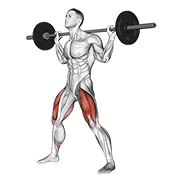 ภาพเคลื่อนไหวสาธิตท่า Barbell Wide Squat เน้นกล้ามเนื้อต้นขาด้านหน้า (ควอดส์)