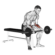 ภาพเคลื่อนไหวสาธิตท่า Barbell Wrist Curl V. 2 เน้นกล้ามเนื้อแขนท่อนล่าง