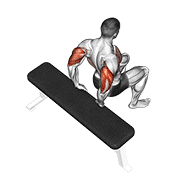 ภาพเคลื่อนไหวสาธิตท่า Bench Dip (knees Bent) เน้นกล้ามเนื้อกล้ามเนื้อหลังแขน (ไทรเซปส์)