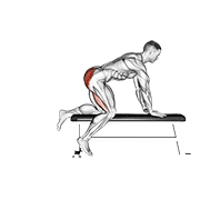 ภาพเคลื่อนไหวสาธิตท่า Bench Hip Extension เน้นกล้ามเนื้อกล้ามเนื้อก้น
