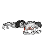 ภาพเคลื่อนไหวสาธิตท่า Body-up เน้นกล้ามเนื้อกล้ามเนื้อหลังแขน (ไทรเซปส์)