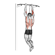 ภาพเคลื่อนไหวสาธิตท่า Biceps Pull-up เน้นกล้ามเนื้อกล้ามเนื้อหน้าแขน (ไบเซปส์)