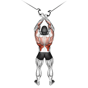 ภาพเคลื่อนไหวสาธิตท่า Cable Cross-over Lateral Pulldown เน้นกล้ามเนื้อปีกหลัง (แลตส์)