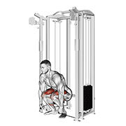 ภาพเคลื่อนไหวสาธิตท่า Cable Deadlift เน้นกล้ามเนื้อกล้ามเนื้อก้น