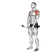 ภาพเคลื่อนไหวสาธิตท่า Cable Front Raise เน้นกล้ามเนื้อไหล่ (เดลทอยด์)