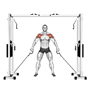 ภาพเคลื่อนไหวสาธิตท่า Cable Front Shoulder Raise เน้นกล้ามเนื้อไหล่ (เดลทอยด์)