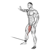 ภาพเคลื่อนไหวสาธิตท่า Cable Hip Adduction เน้นกล้ามเนื้อกล้ามเนื้อต้นขาด้านใน