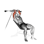 ภาพเคลื่อนไหวสาธิตท่า Cable Incline Triceps Extension เน้นกล้ามเนื้อกล้ามเนื้อหลังแขน (ไทรเซปส์)