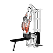 ภาพเคลื่อนไหวสาธิตท่า Cable Lateral Pulldown (with Rope Attachment) เน้นกล้ามเนื้อปีกหลัง (แลตส์)